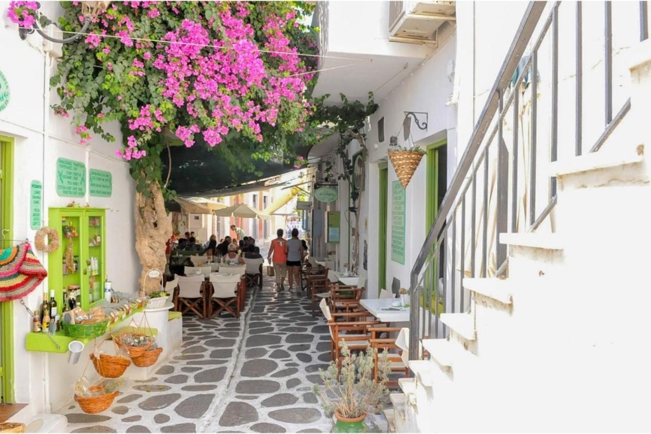 Livadia Seaside Studios 6 Páros Eksteriør billede